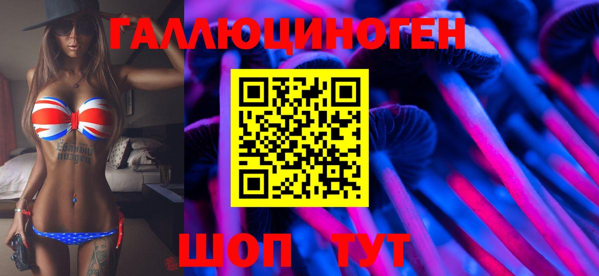 Галлюциногенные грибы прущие грибы Будённовск