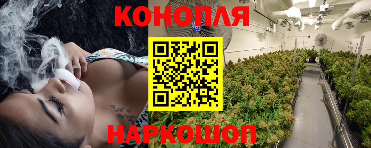 Бошки Шишки гибрид Будённовск